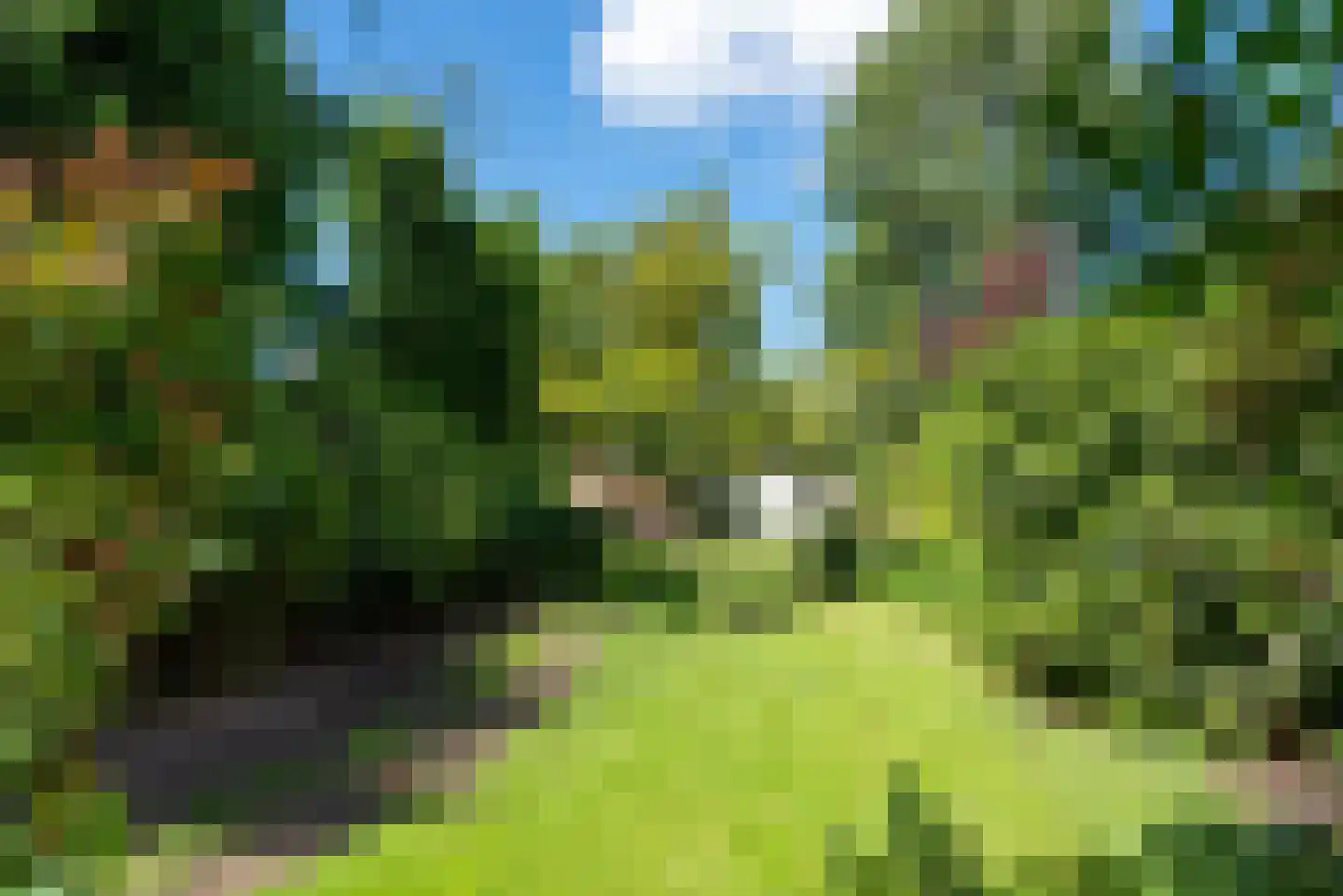Oude Rijksweg 114 't Zand thumbnail 42