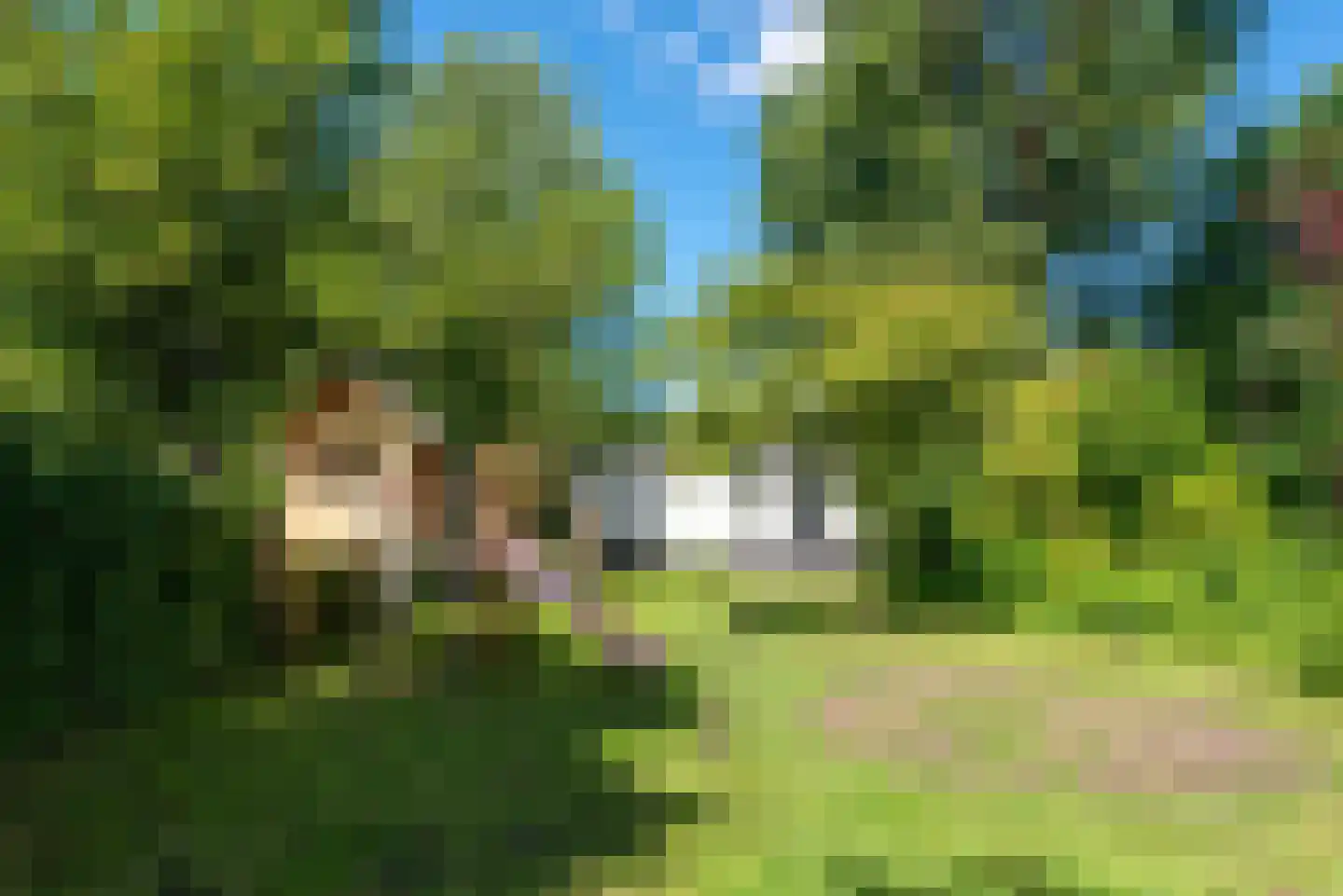 Oude Rijksweg 114 't Zand thumbnail 43