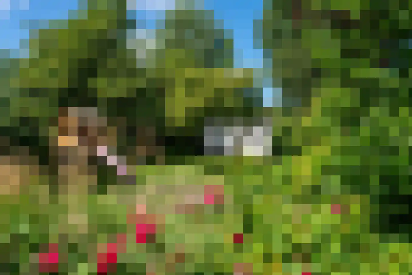 Oude Rijksweg 114 't Zand thumbnail 44