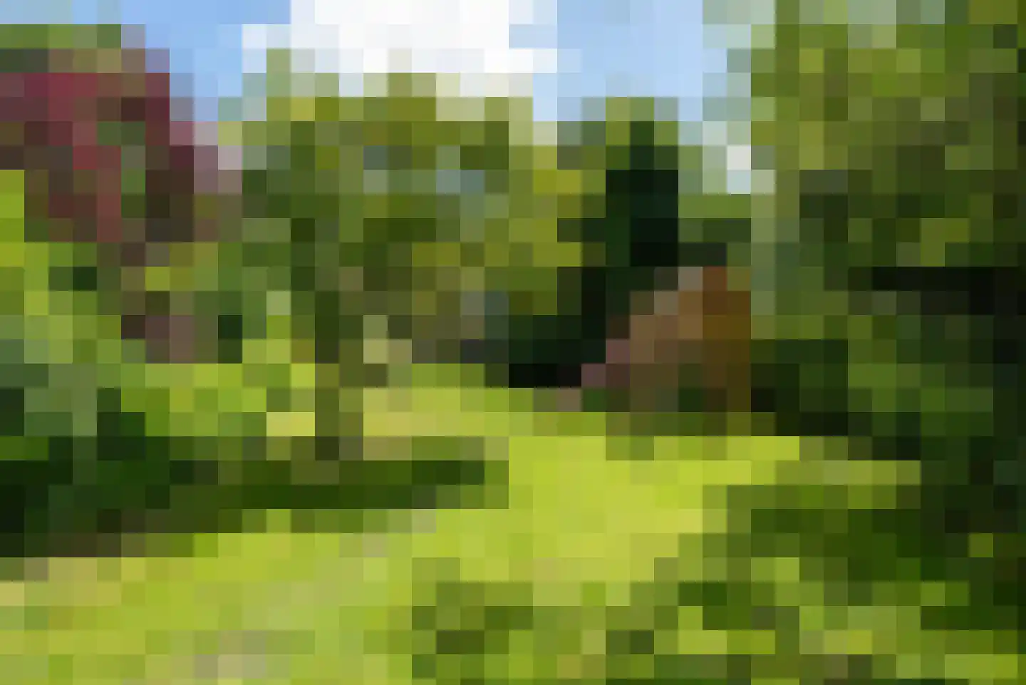 Oude Rijksweg 114 't Zand thumbnail 52