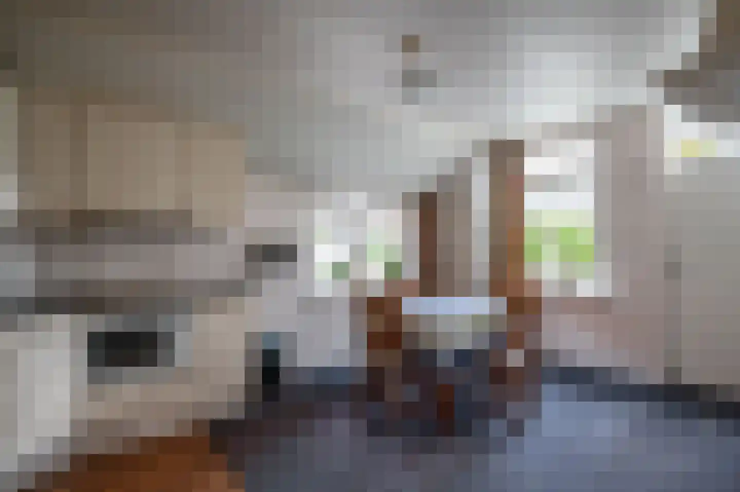 Oude Rijksweg 14 Staphorst thumbnail 10