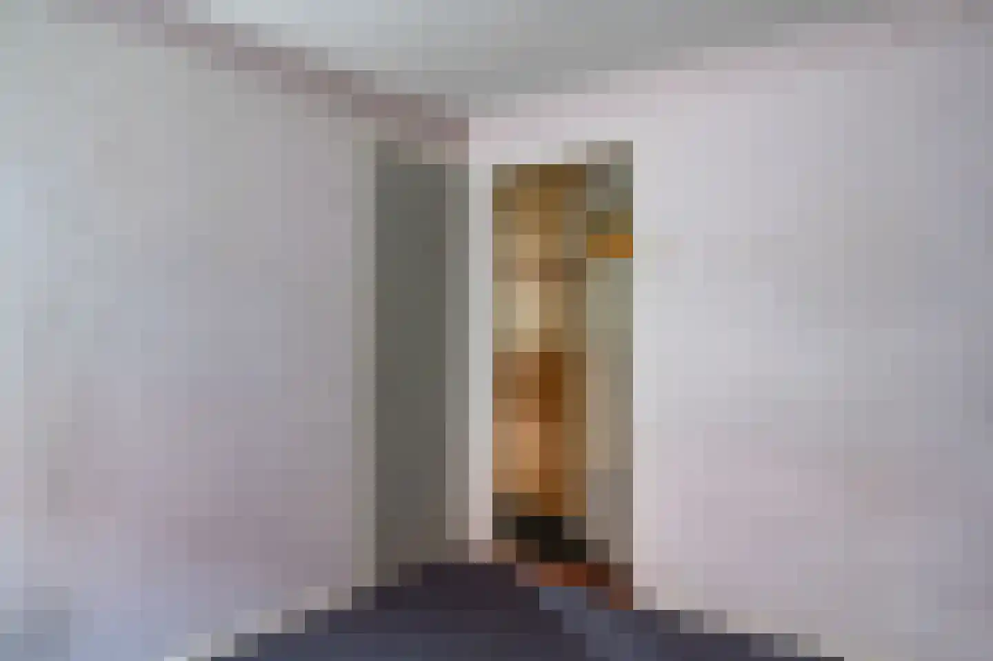 Oude Rijksweg 14 Staphorst thumbnail 16