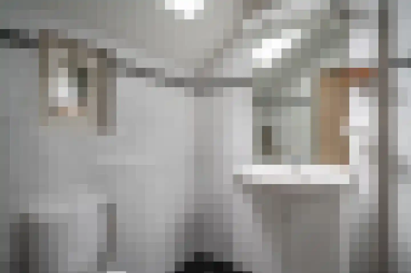 Oude Rijksweg 14 Staphorst thumbnail 16
