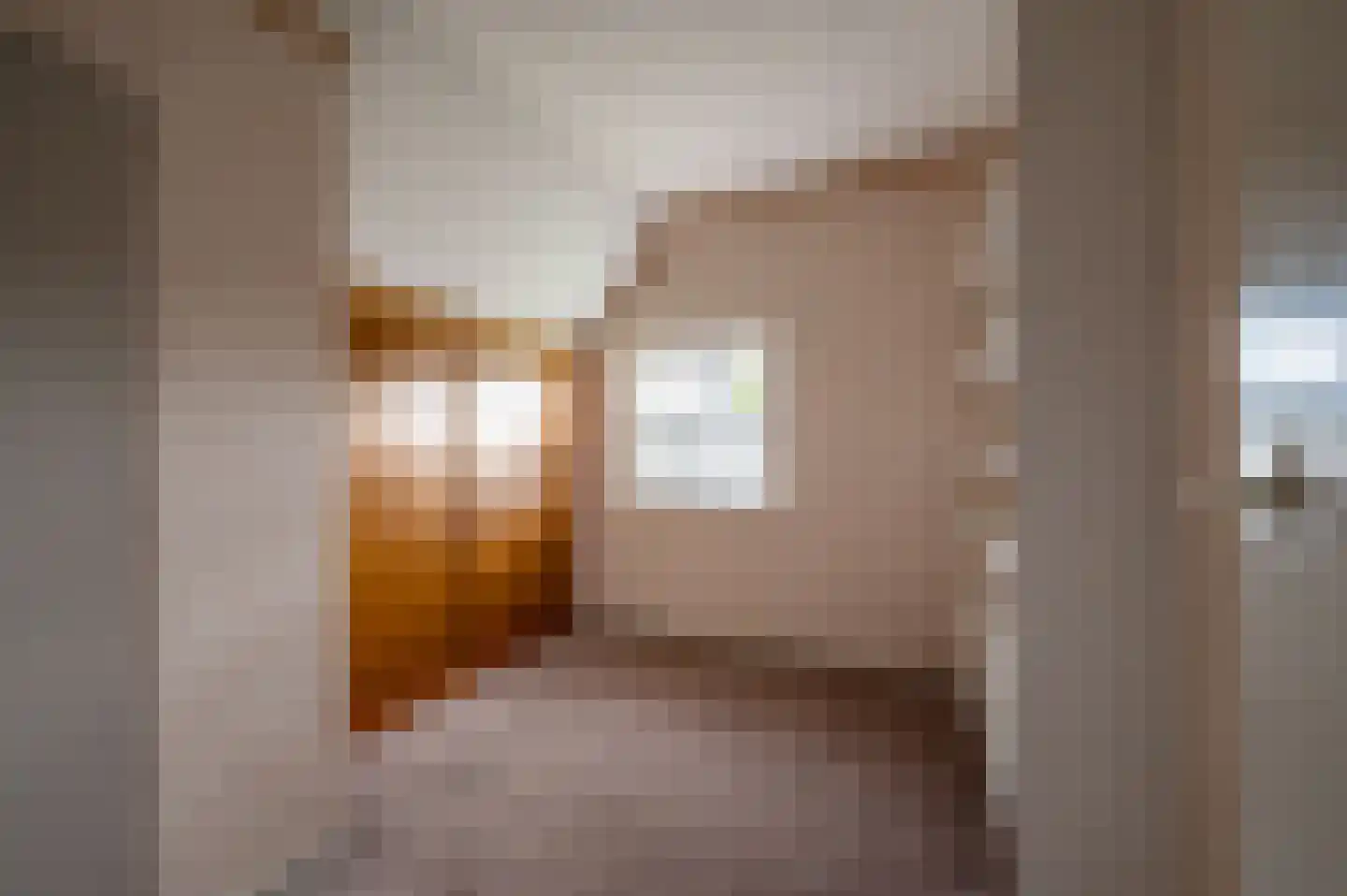 Oude Rijksweg 14 Staphorst thumbnail 22
