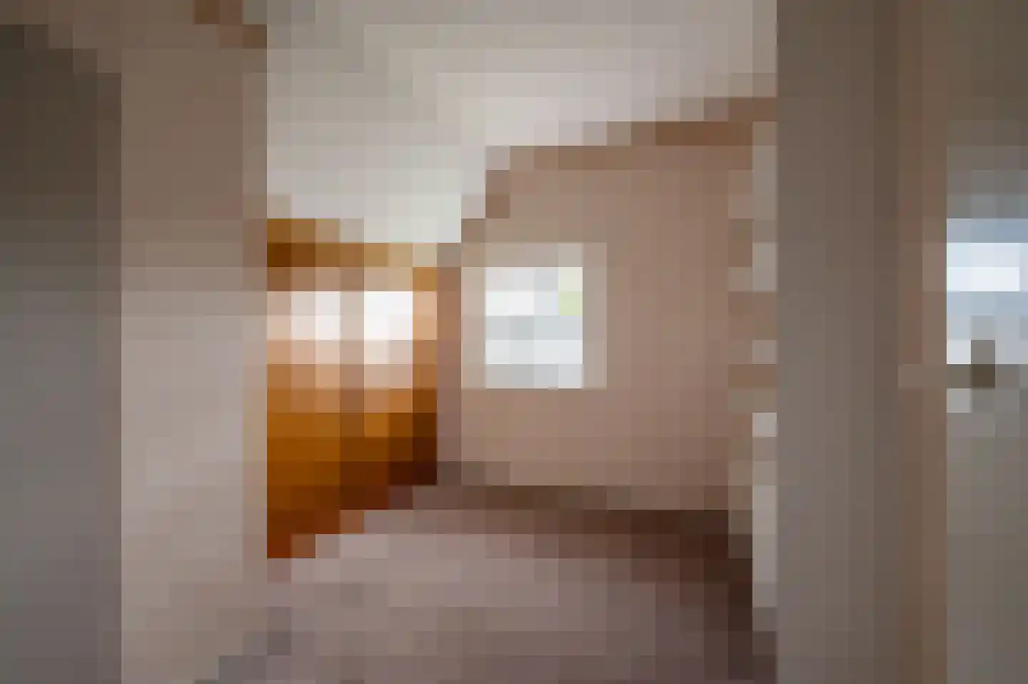 Oude Rijksweg 14 Staphorst thumbnail 25