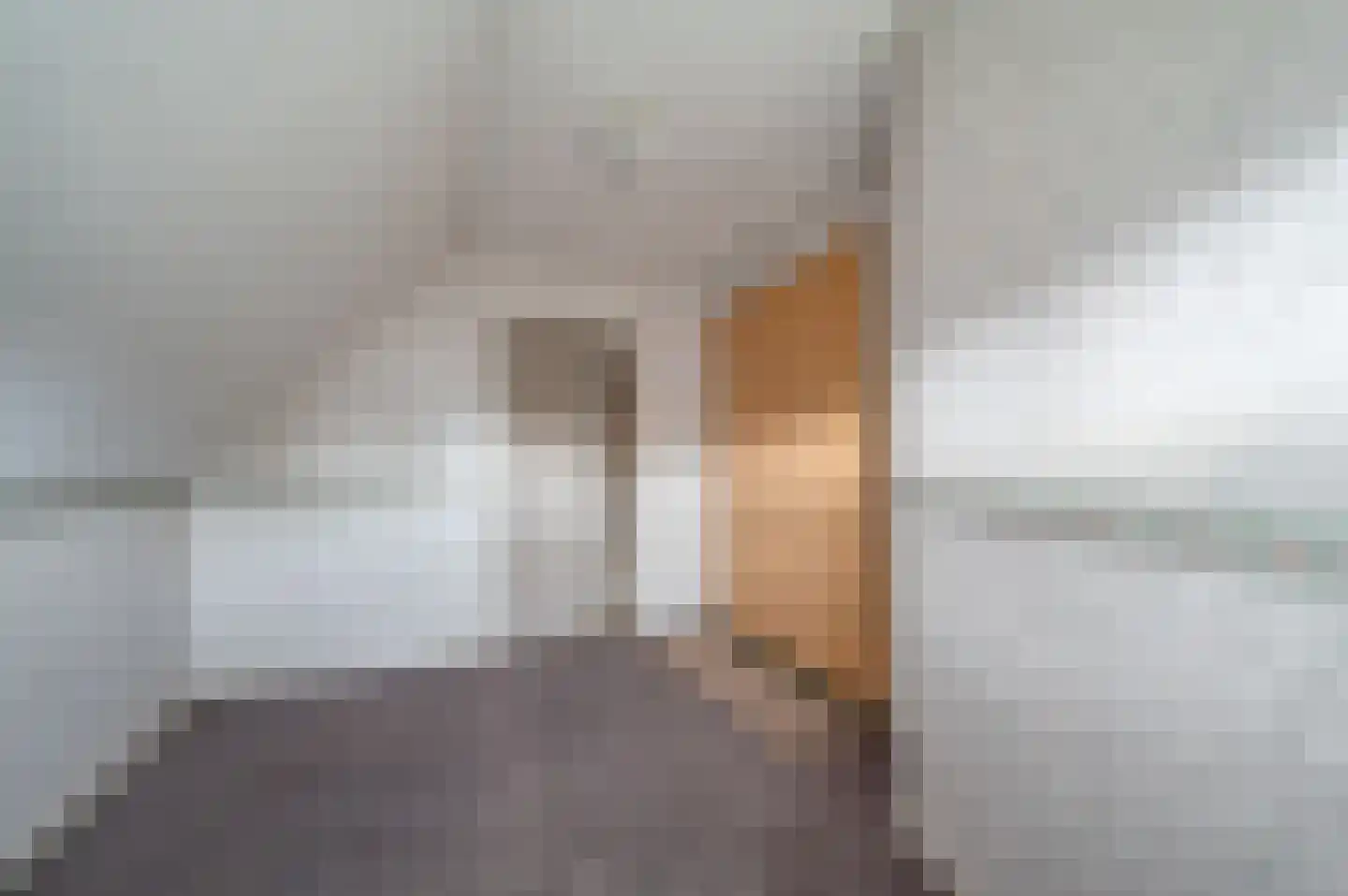 Oude Rijksweg 14 Staphorst thumbnail 28