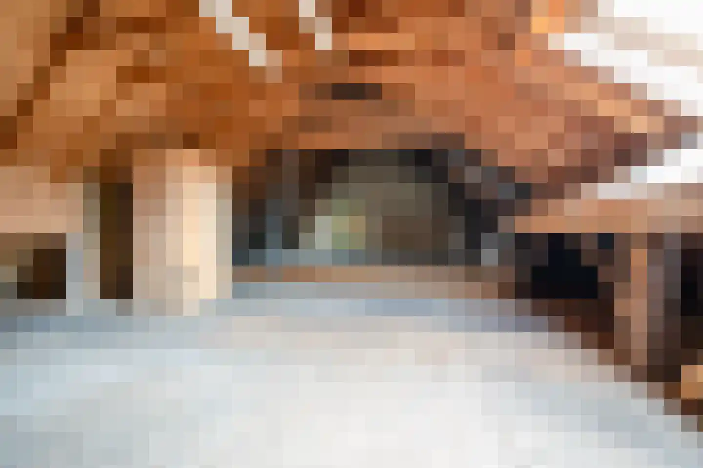 Oude Rijksweg 14 Staphorst thumbnail 28