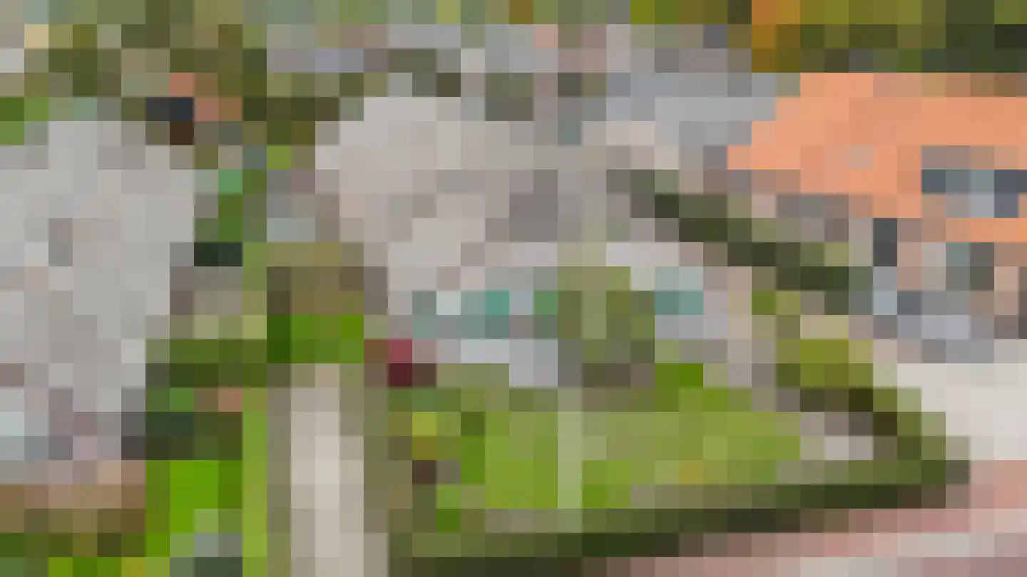 Oude Rijksweg 14 Staphorst foto 3