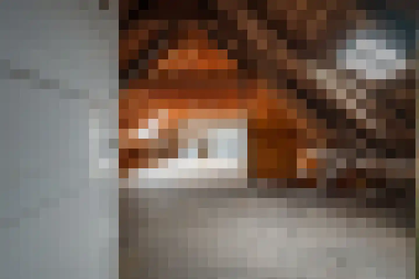 Oude Rijksweg 14 Staphorst thumbnail 30