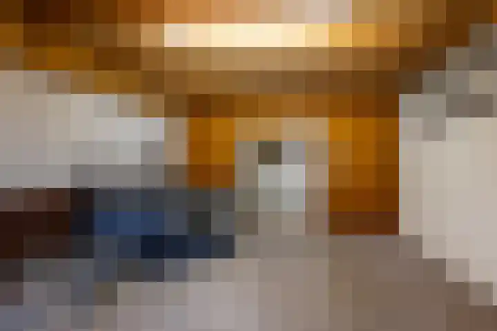 Oude Rijksweg 14 Staphorst thumbnail 36