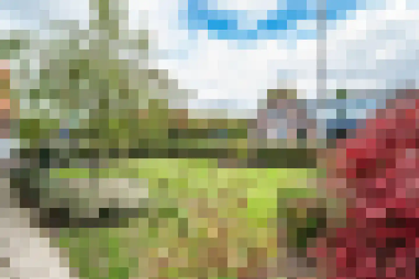 Oude Rijksweg 14 Staphorst thumbnail 40