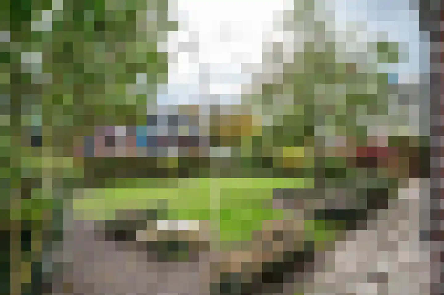 Oude Rijksweg 14 Staphorst thumbnail 43
