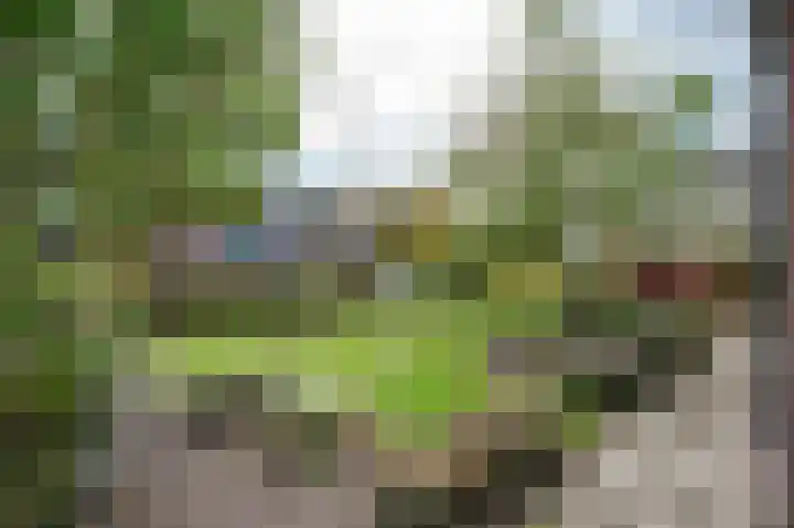 Oude Rijksweg 14 Staphorst thumbnail 43