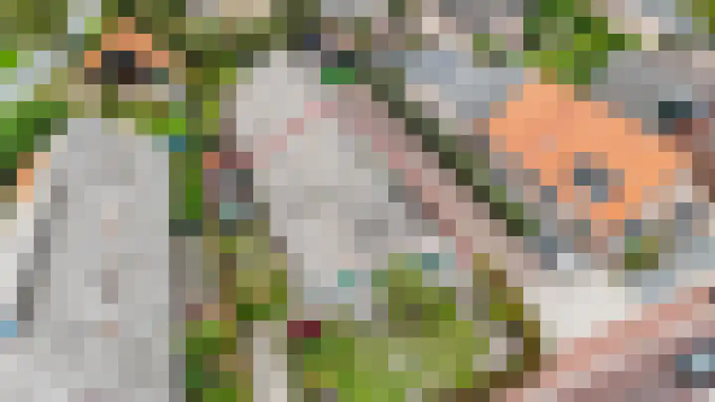 Oude Rijksweg 14 Staphorst thumbnail 46