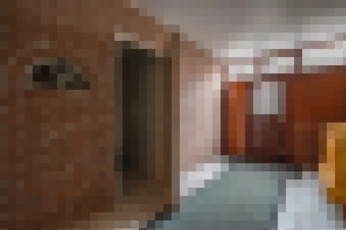 Oude Rijksweg 14 Staphorst thumbnail 6