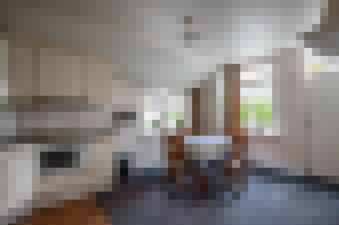 Oude Rijksweg 14 Staphorst thumbnail 7