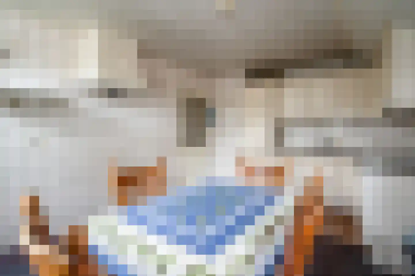 Oude Rijksweg 14 Staphorst thumbnail 8