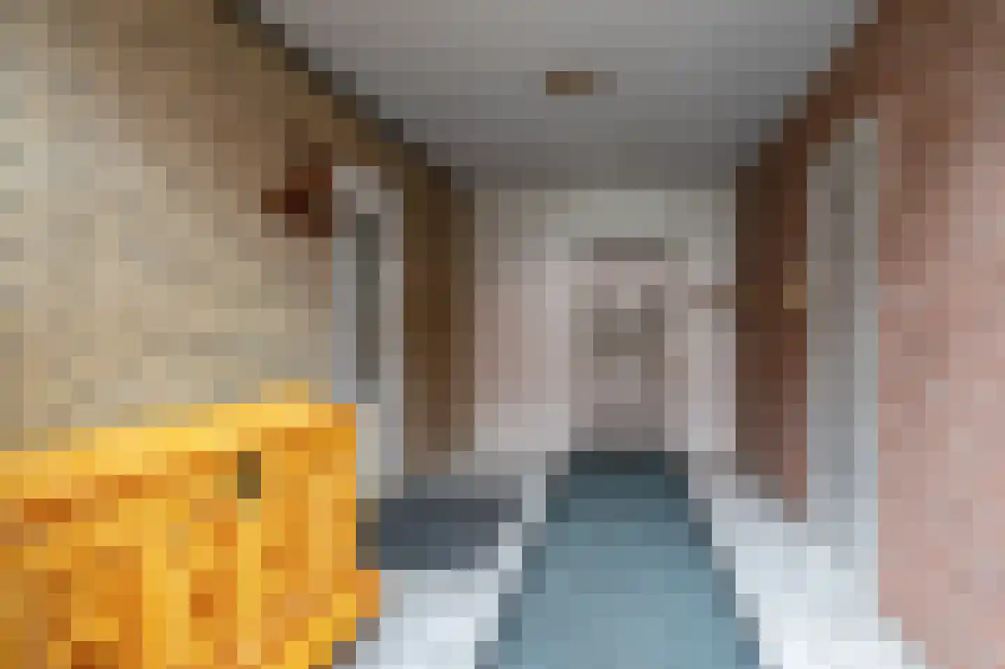 Oude Rijksweg 14 Staphorst thumbnail 8