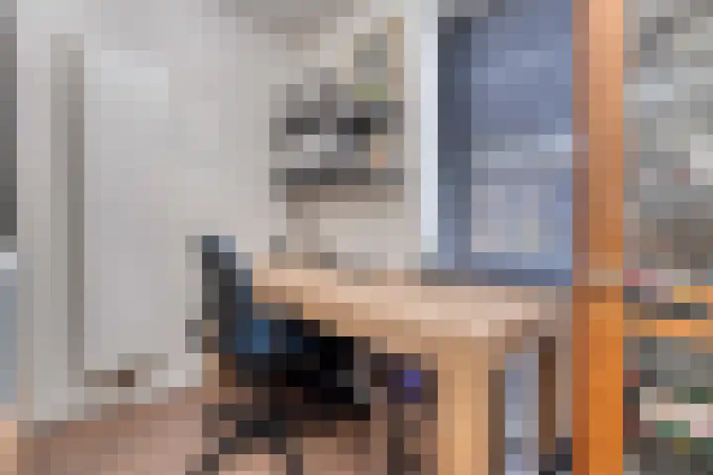 Oude Rijksweg 15 Breskens thumbnail 16