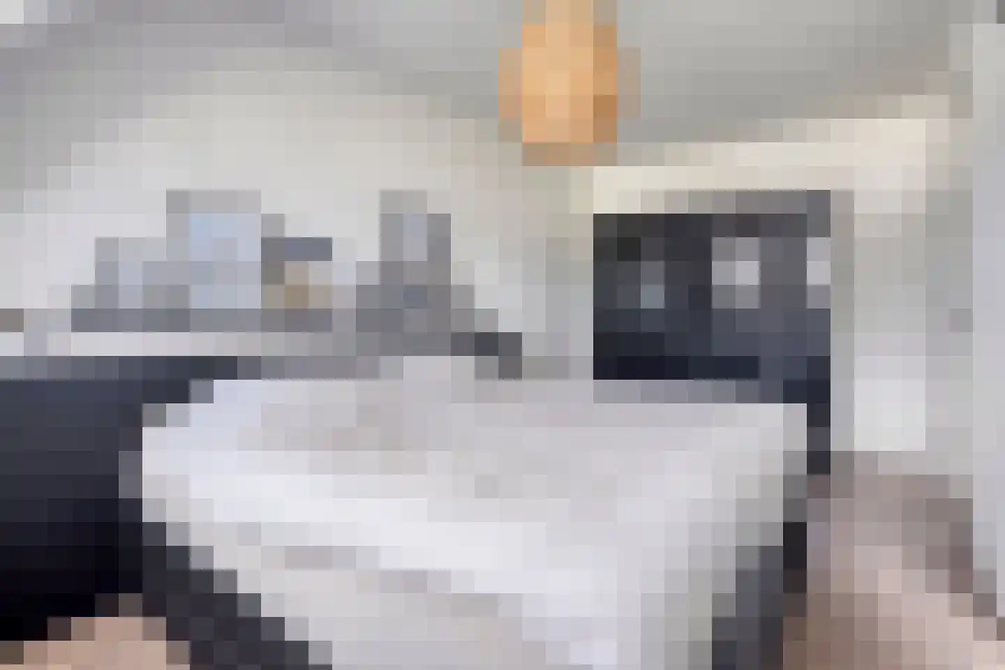 Oude Rijksweg 15 Breskens thumbnail 19