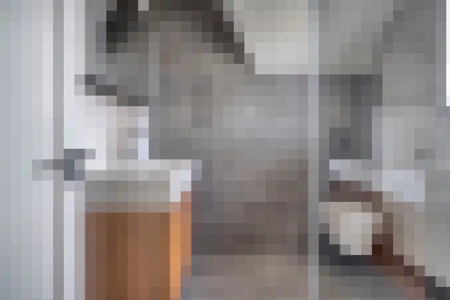 Oude Rijksweg 15 Breskens thumbnail 22