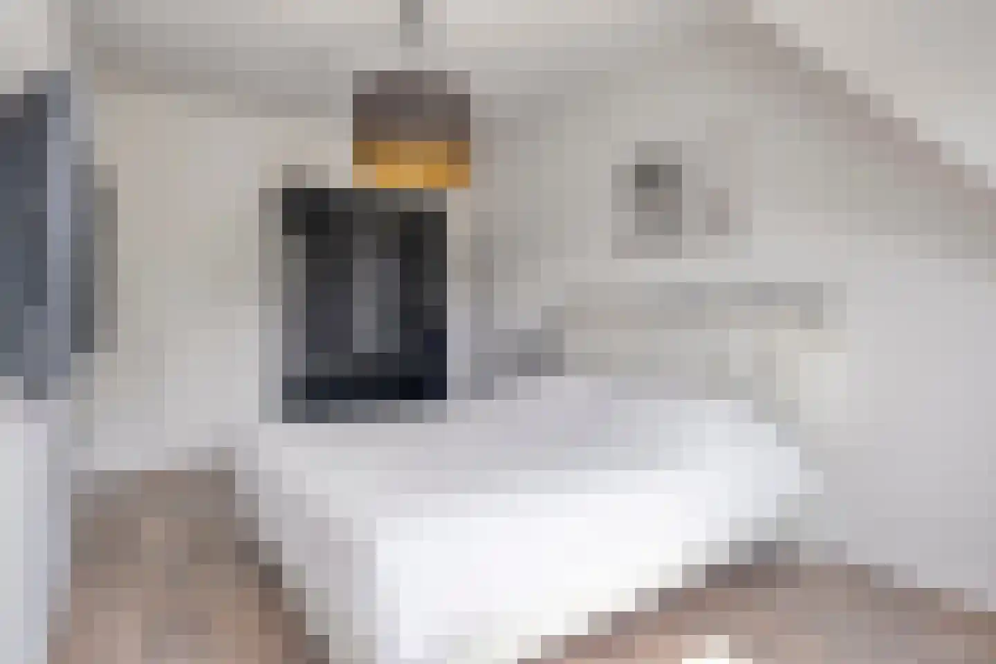 Oude Rijksweg 15 Breskens thumbnail 26