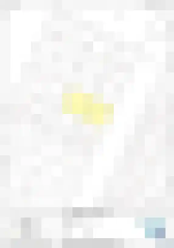Oude Rijksweg 15 Breskens thumbnail 39