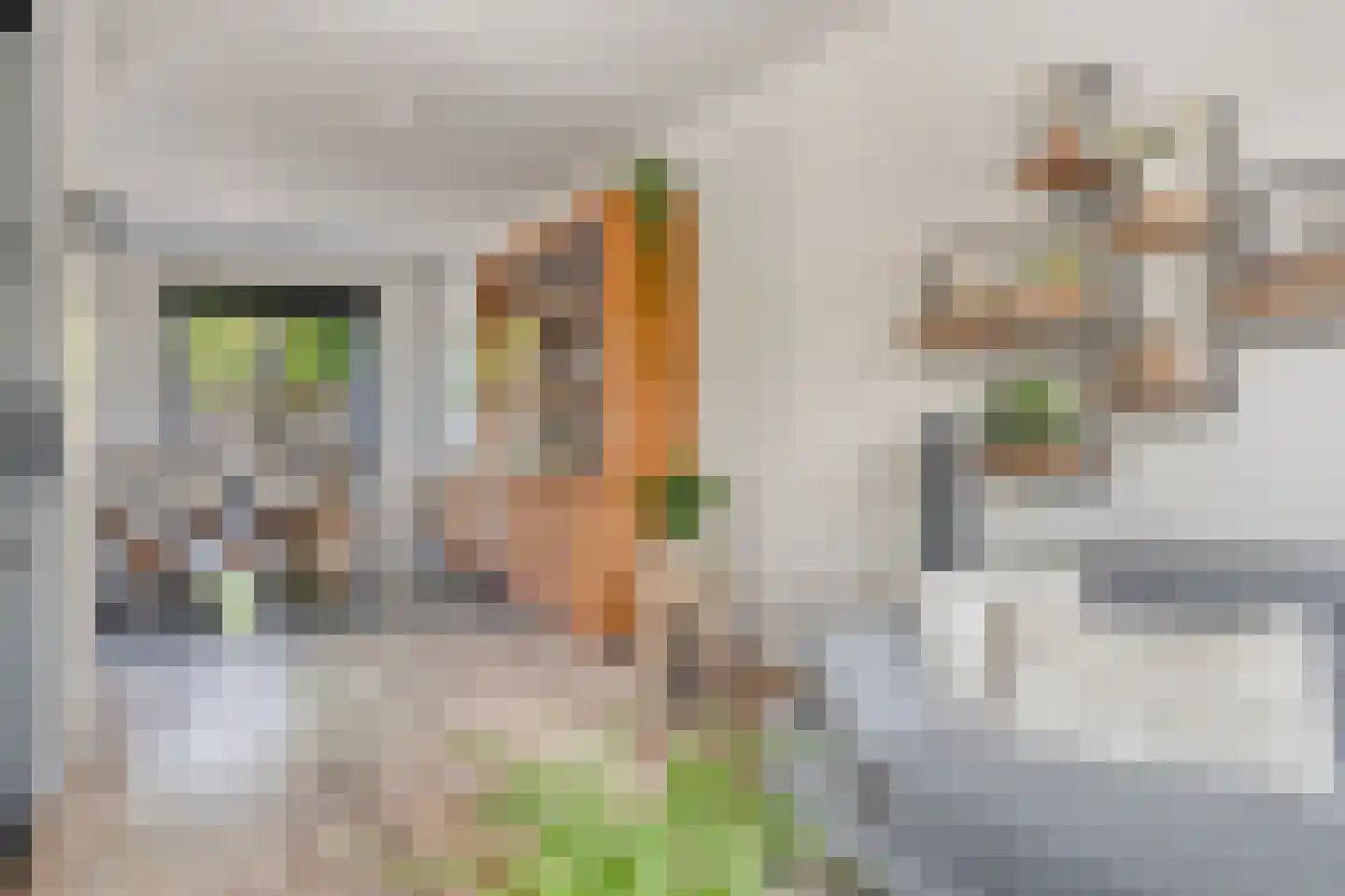 Oude Rijksweg 15 Breskens thumbnail 8