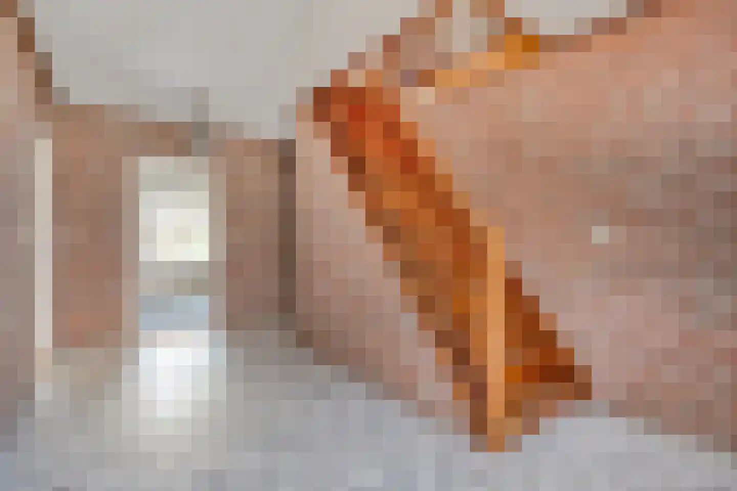Oude Rijksweg 170 Staphorst thumbnail 10