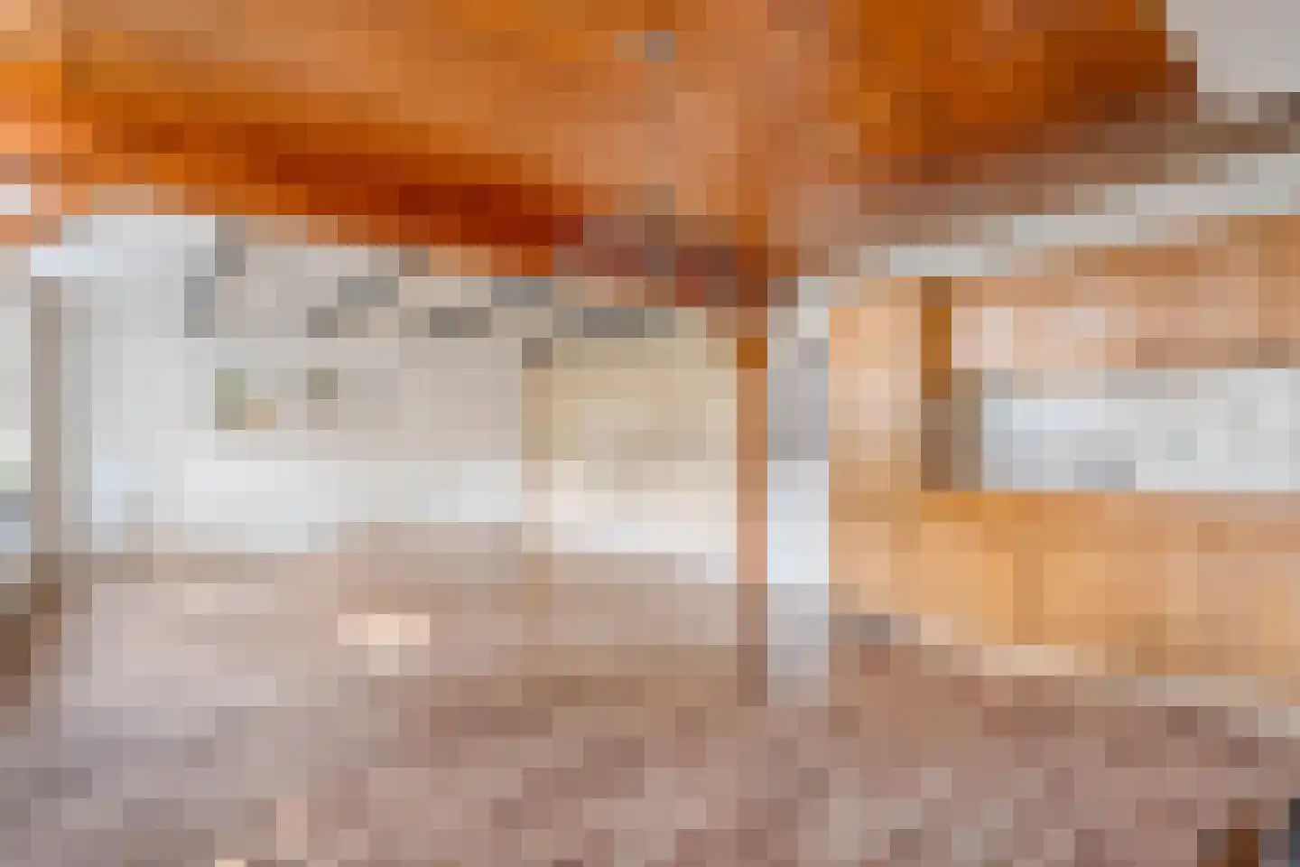 Oude Rijksweg 170 Staphorst thumbnail 14