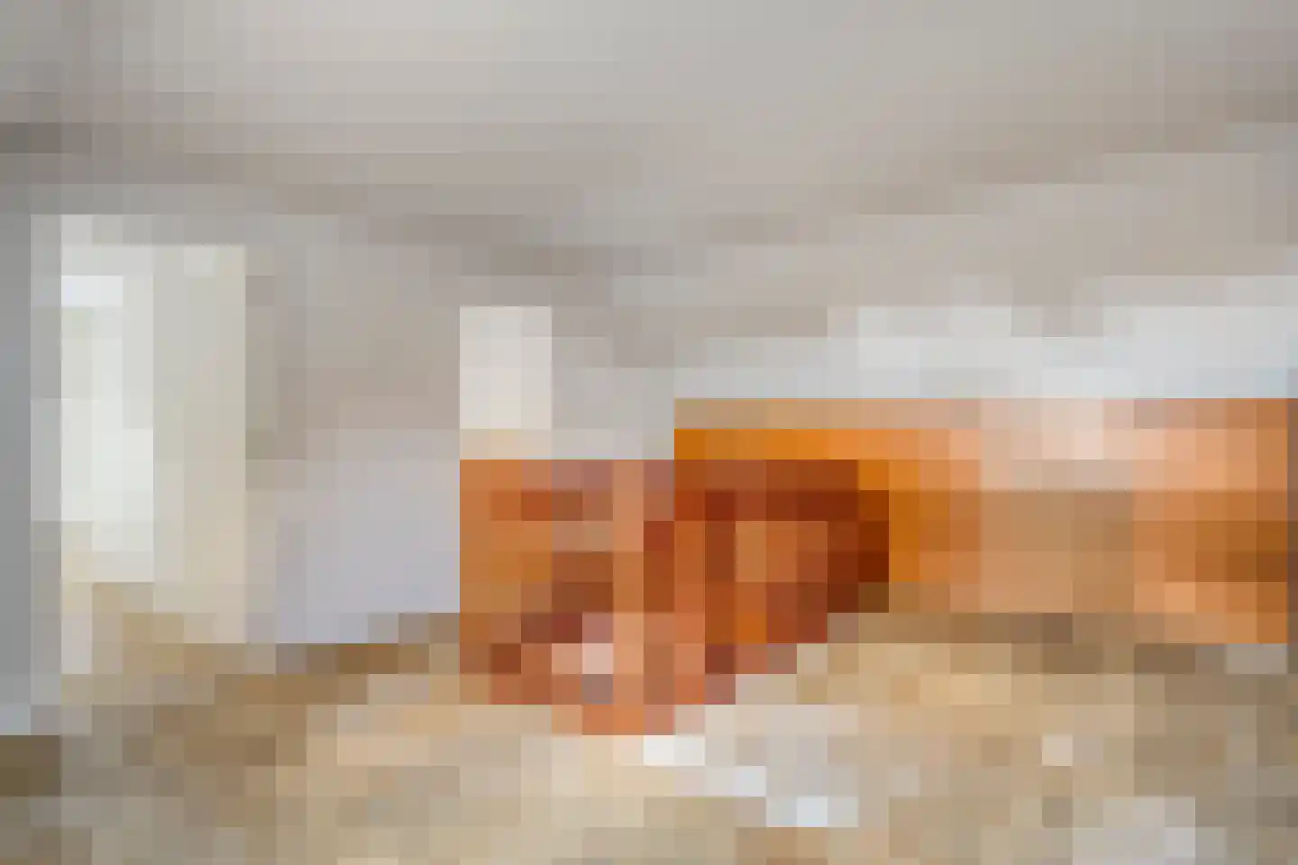 Oude Rijksweg 170 Staphorst thumbnail 19