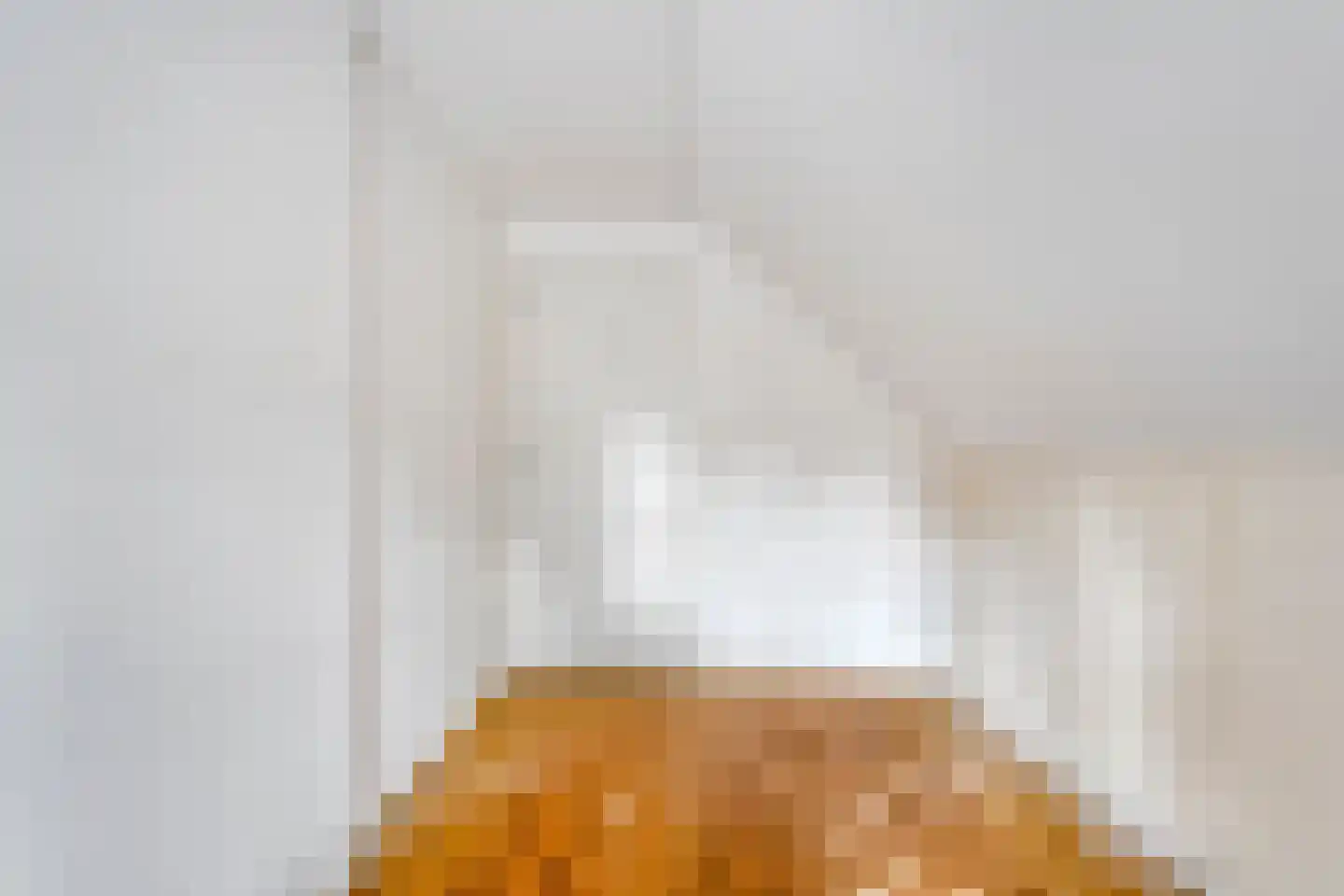 Oude Rijksweg 170 Staphorst thumbnail 23