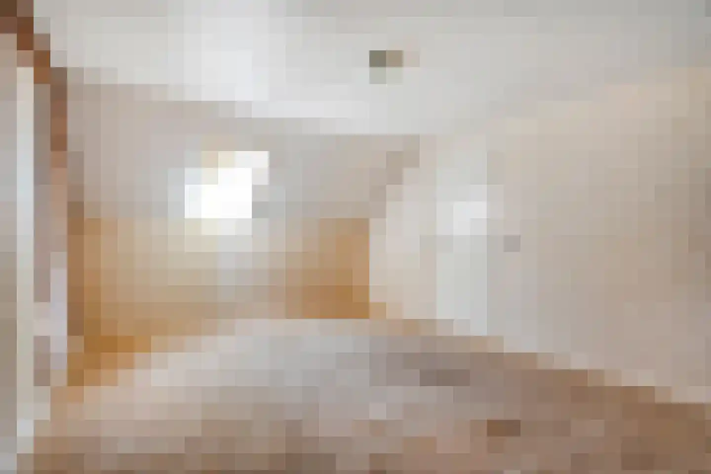 Oude Rijksweg 170 Staphorst thumbnail 27