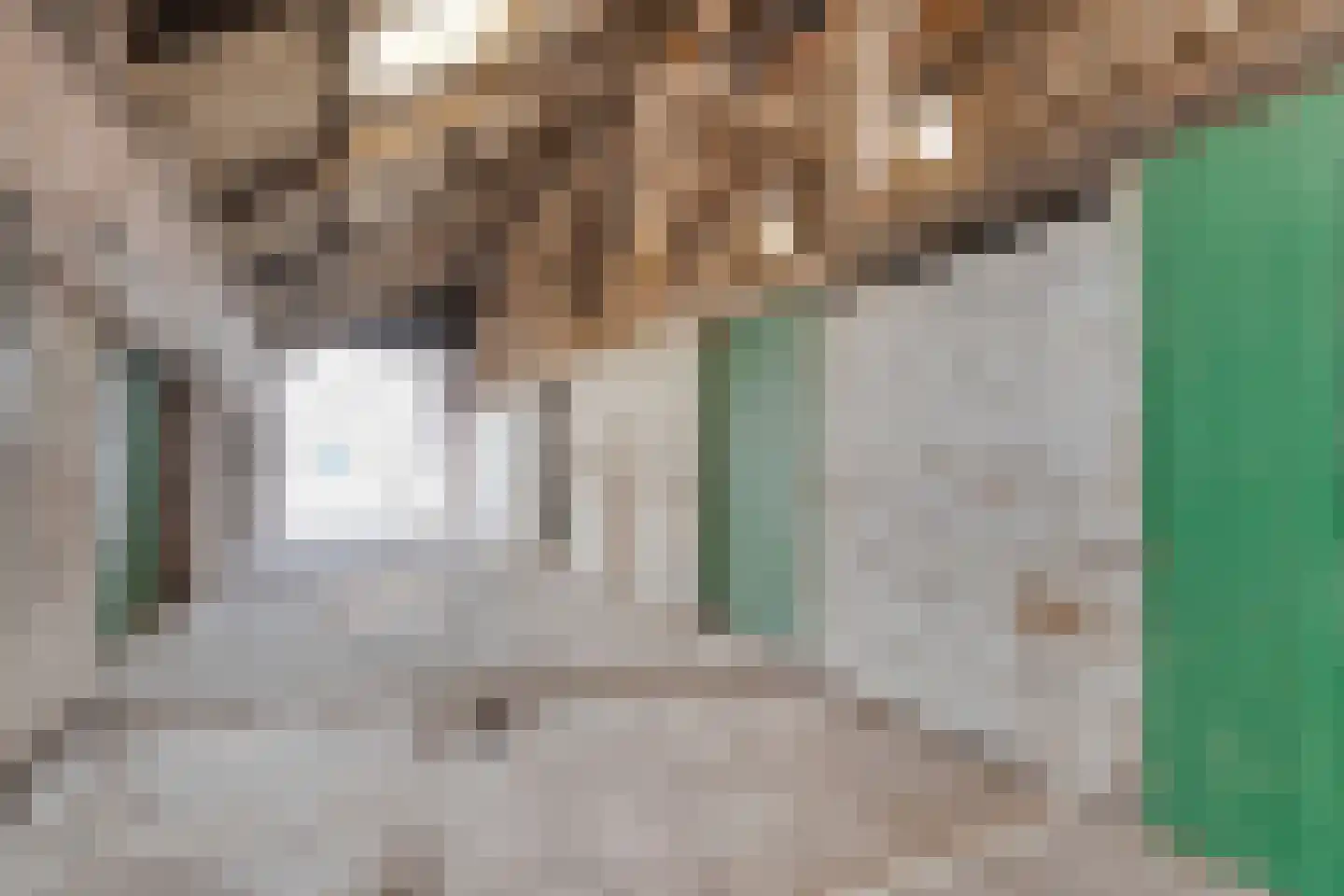 Oude Rijksweg 170 Staphorst thumbnail 34