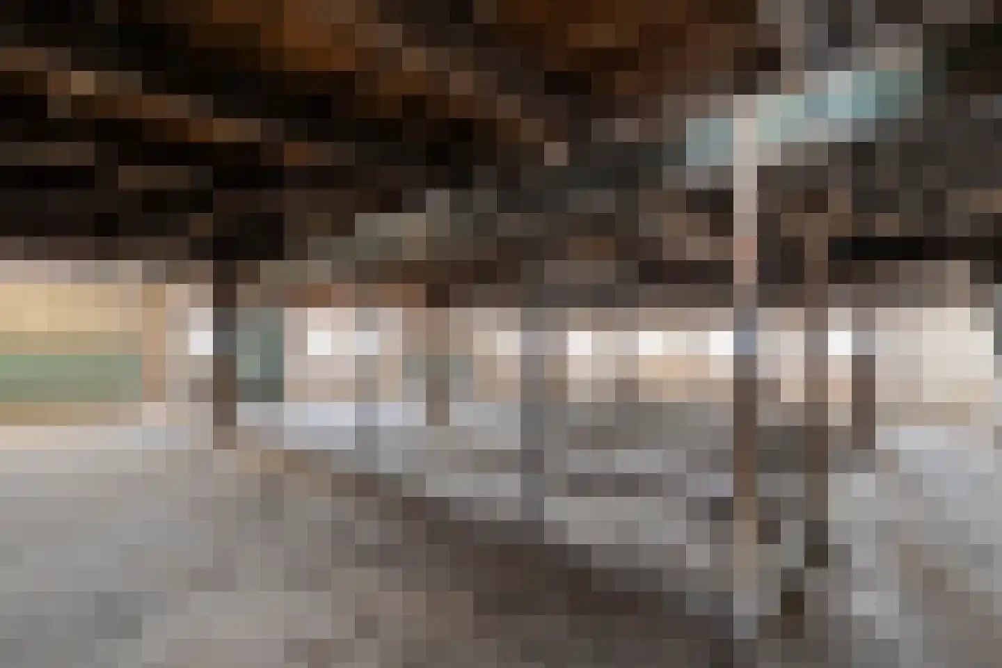 Oude Rijksweg 170 Staphorst thumbnail 36