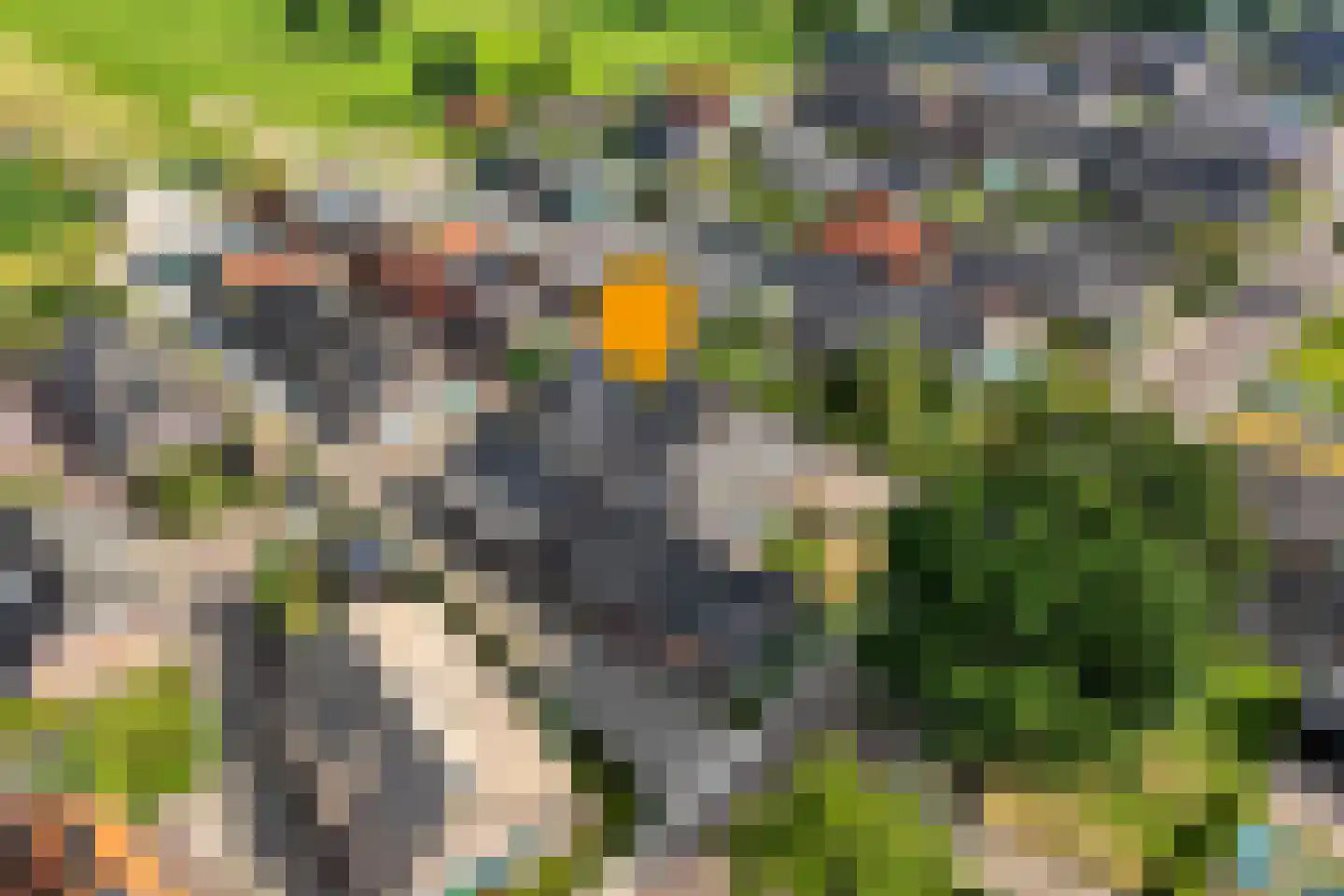 Oude Rijksweg 170 Staphorst thumbnail 4