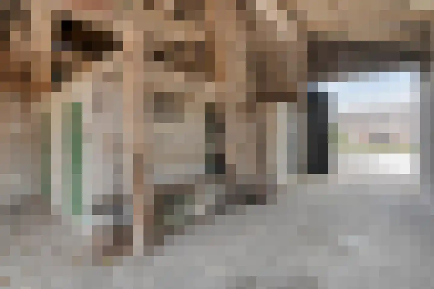 Oude Rijksweg 170 Staphorst thumbnail 43
