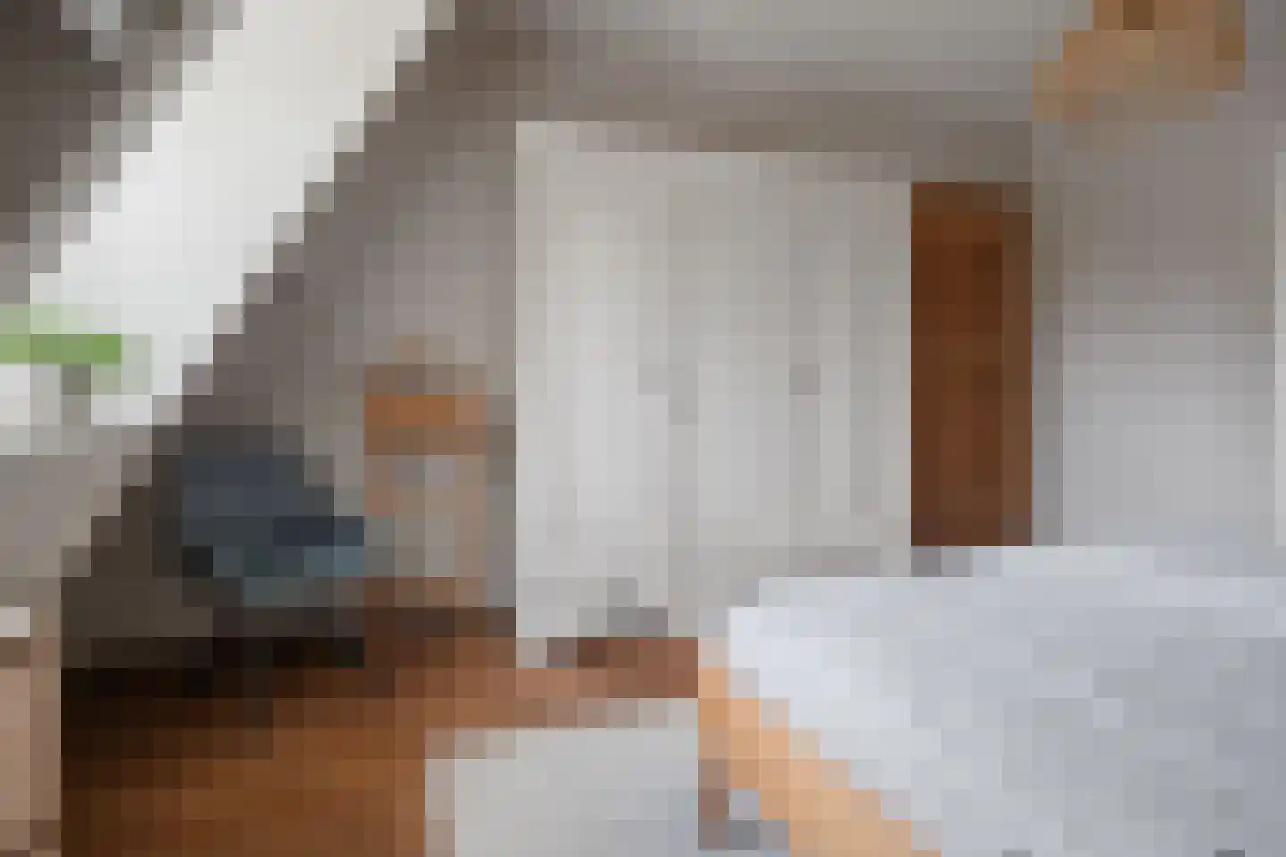 Oude Rijksweg 24 a Helvoirt thumbnail 42