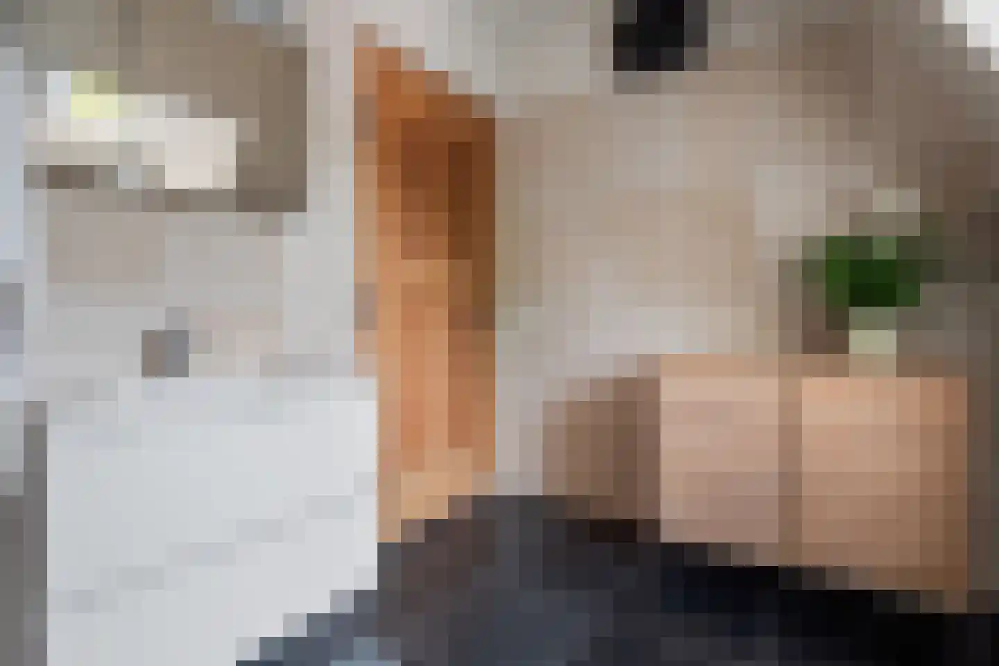 Oude Rijksweg 24 a Helvoirt thumbnail 49