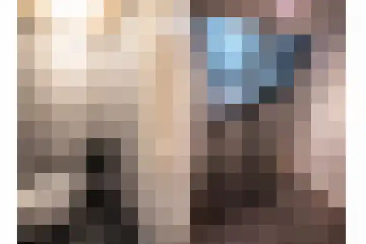 Oude Rijksweg 245 g Rouveen thumbnail 13