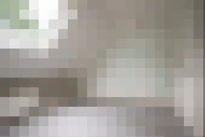 Oude Rijksweg 245 g Rouveen thumbnail 17