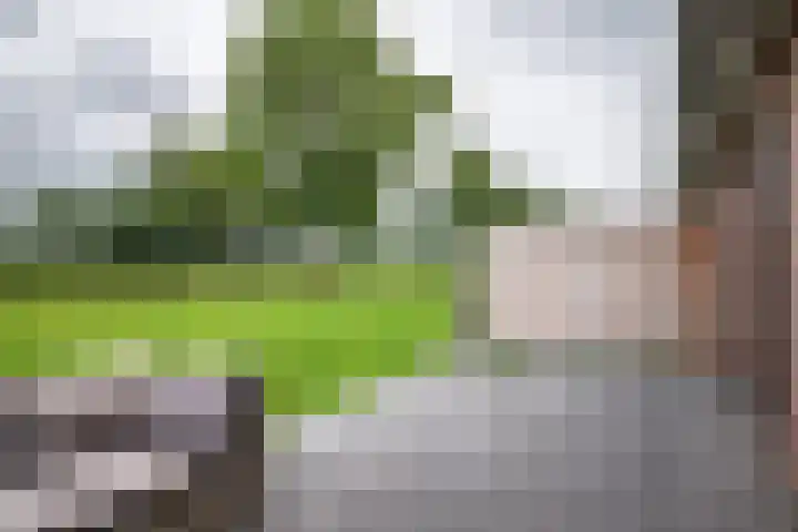 Oude Rijksweg 245 g Rouveen thumbnail 24