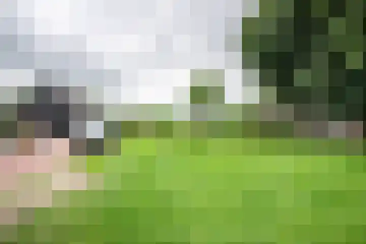 Oude Rijksweg 245 g Rouveen thumbnail 25