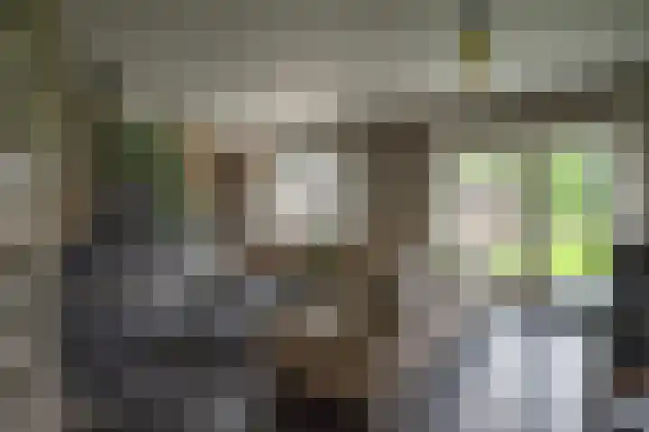 Oude Rijksweg 245 g Rouveen thumbnail 5
