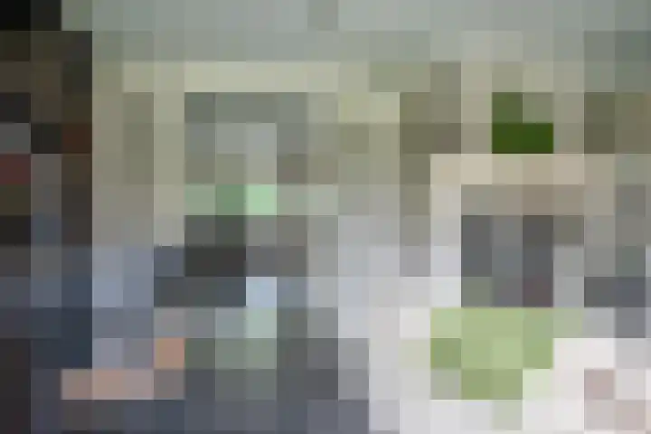 Oude Rijksweg 245 g Rouveen thumbnail 7