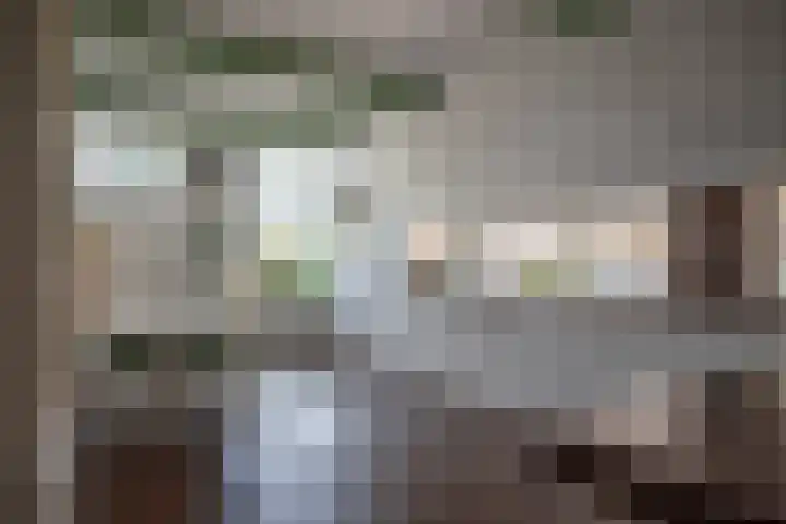 Oude Rijksweg 263 Rouveen thumbnail 10