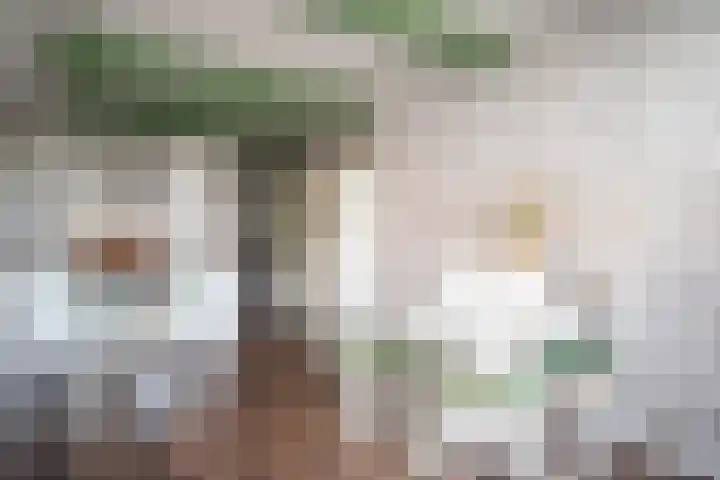 Oude Rijksweg 263 Rouveen thumbnail 11