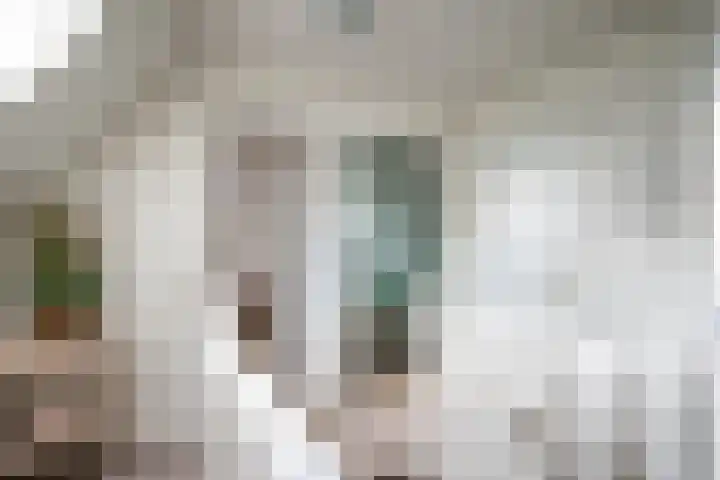 Oude Rijksweg 263 Rouveen thumbnail 17