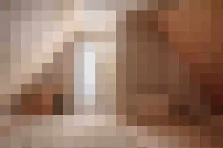 Oude Rijksweg 263 Rouveen thumbnail 23