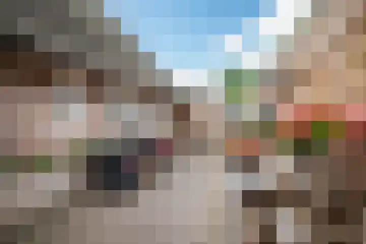 Oude Rijksweg 263 Rouveen thumbnail 24